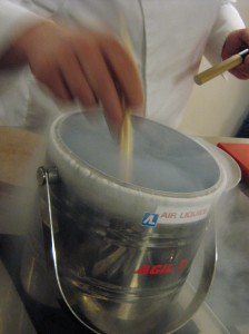 IMG_2488