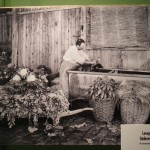 16 lavage des légumes