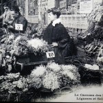 4 carreau des Halles légumes salades