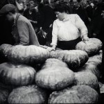 5 halles courges