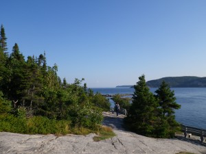 IMGP5015