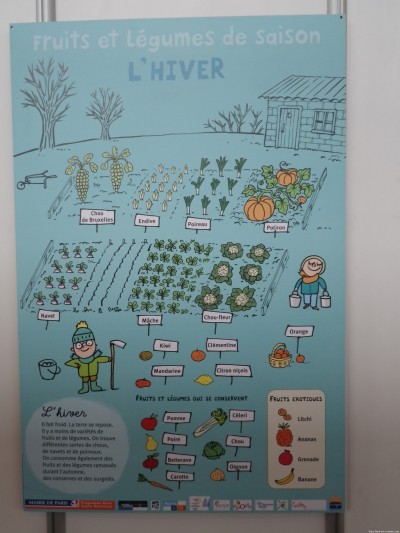 Même en hiver il y a des légumes verts !