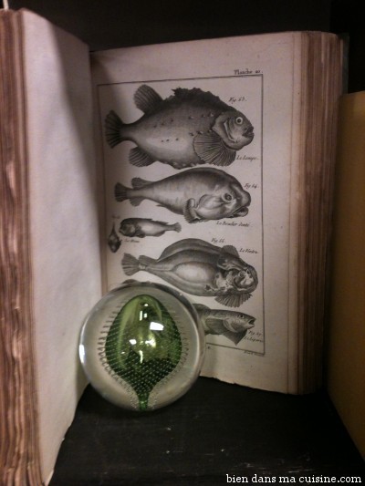 Au rayon "pêche", on apprend à reconnaître les poissons, qui ne sont pas des choses carrées et surgelées avec des yeux dans les coins.