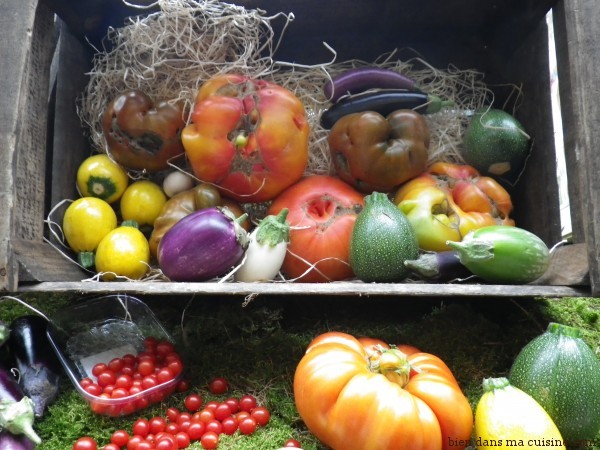tomates et légumes multicolores