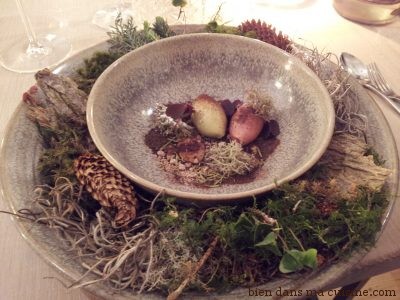Le "pré-dessert", une véritableaventure gustative, servi dans son assiette "sous bois" !