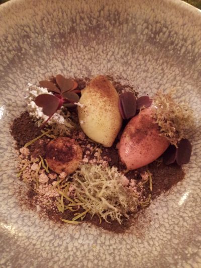 Regardons de plus près : un sorbet au pin (le vert), un sorbet au trèfle rouge (le rose), de la mousse frite ultra-croquante, parsemée d'un voile de sucre glace, le tout sur un lit de poudre chocolatée, et parsemé de trèfles rouges frais, acidulés. Un dessert totalement inédit qui m'a laissé un goût d'encore !